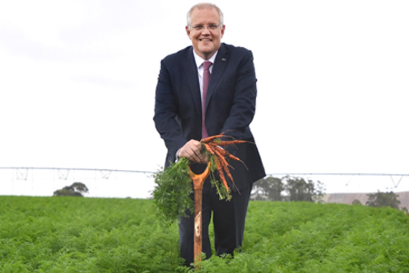Questions have been asked over Prime Minister Scott Morrison's sweetest election carrot. 