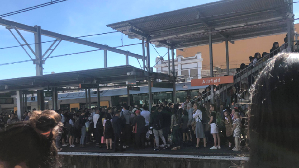 Widespread Delays Across Sydney Train Network | The New Daily