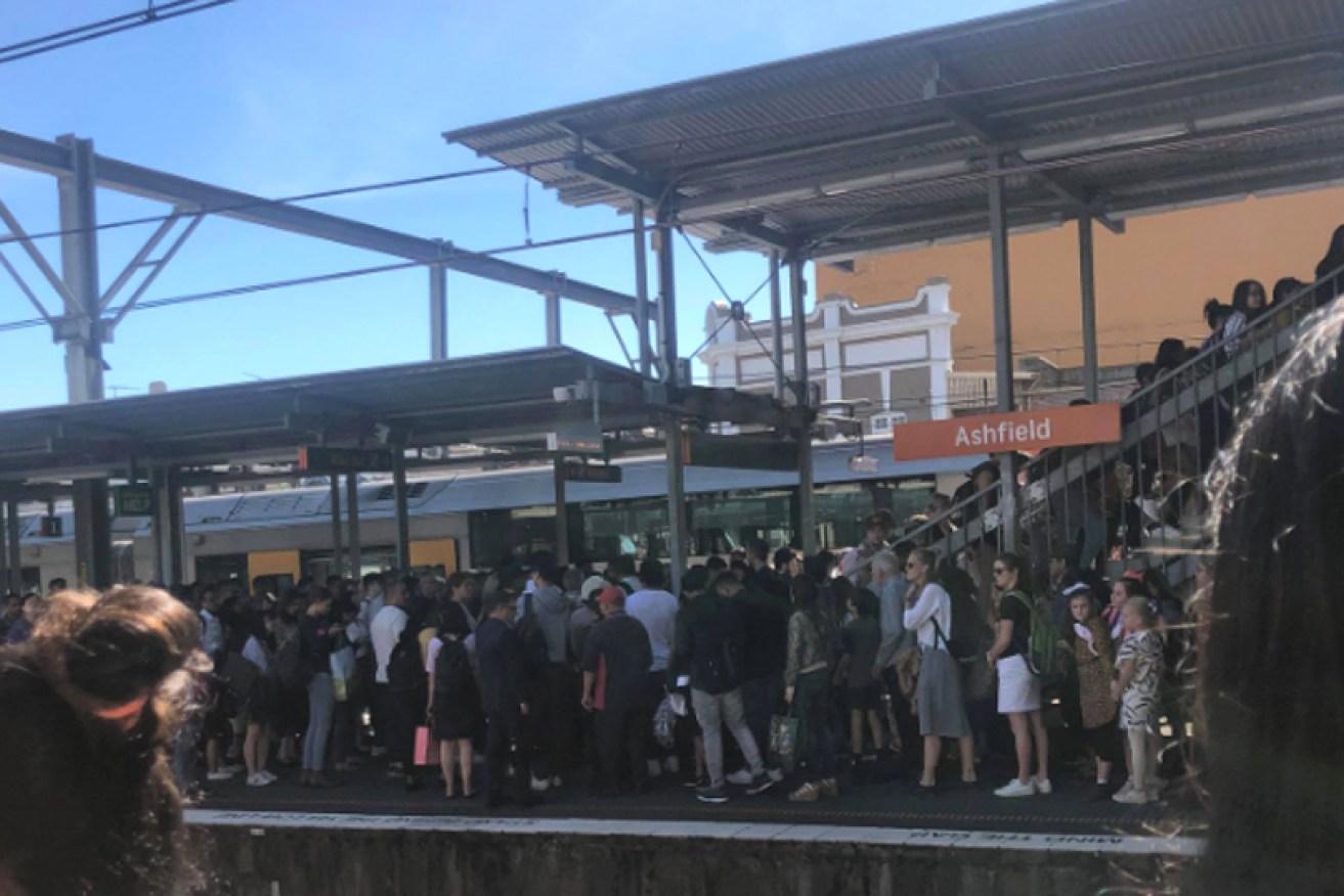 Chaos has been a feature of Sydney's rail service since the bitter industrial dispute erupted. <i>Photo: Twitter</i>