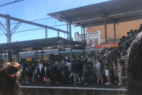 NSW agrees to trains’ safety fixes as rail union mulls latest pay offer