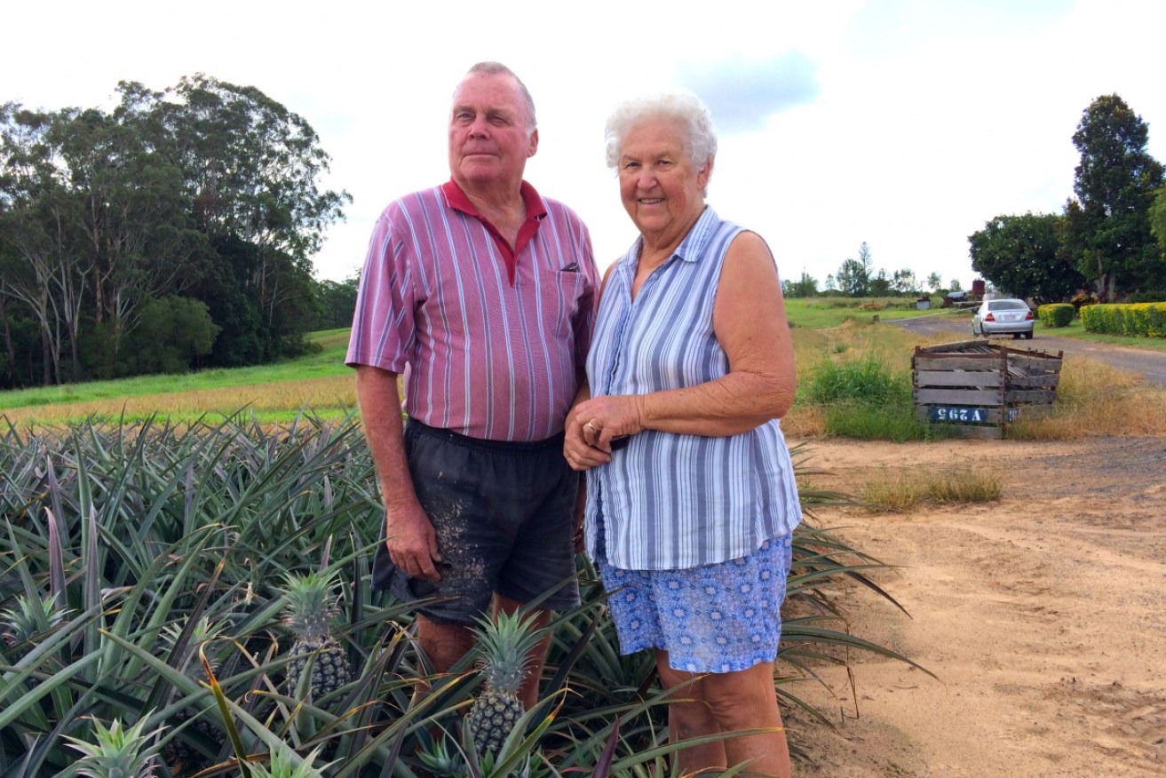 Federal politicians want the vote of regional Queenslanders like pineapple farmers Barry and Joan Harvey.