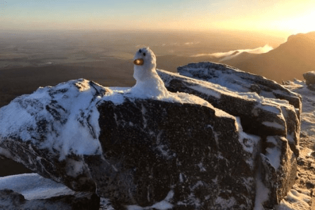 Wind-walloped WA shivers amid warning of snowfalls