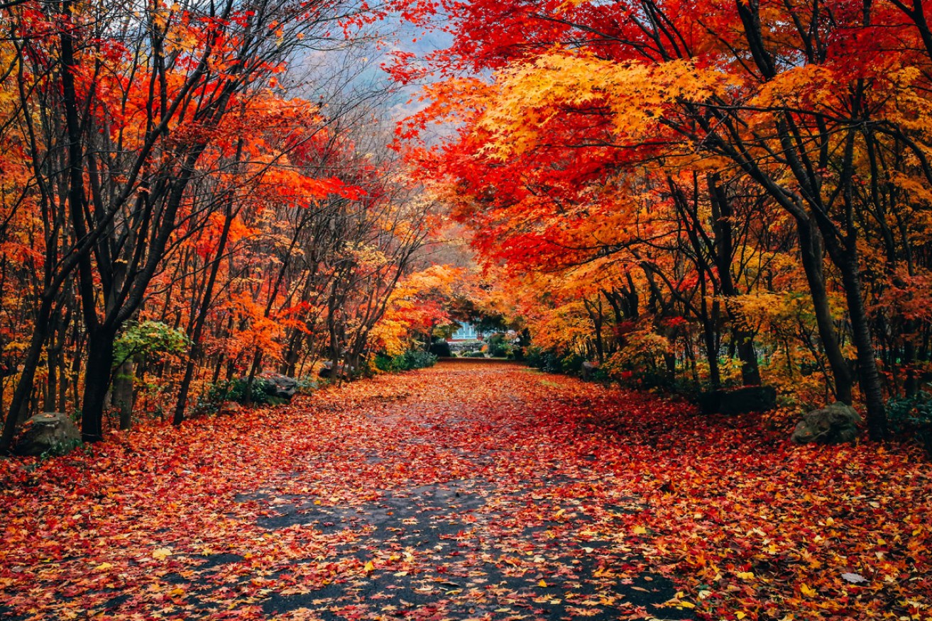 Which town is the prettiest in autumn? Time to cast your vote. 