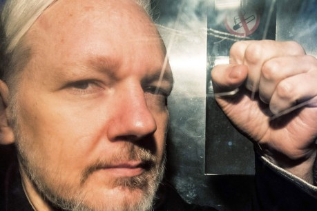 The life-and-death decisions weighing on Julian Assange