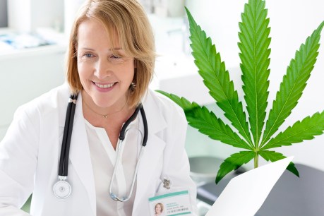 Medicinal cannabis to manage chronic pain? A pain specialist busts three common myths