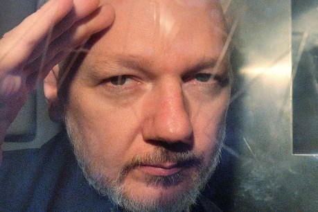 Assange‘s partner slams ‘grotesque’ injustice of keeping him behind bars