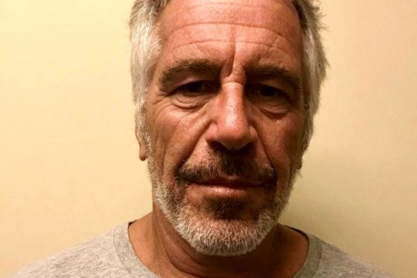 FBI studies broken cameras by Epstein cell