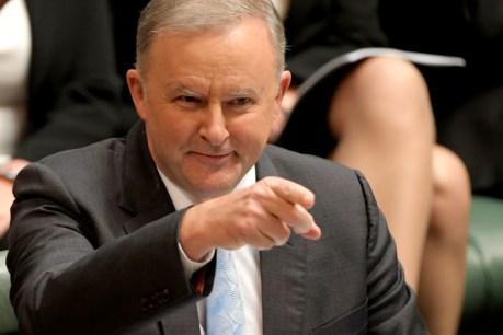 Anthony Albanese has put himself front and centre on the leader board