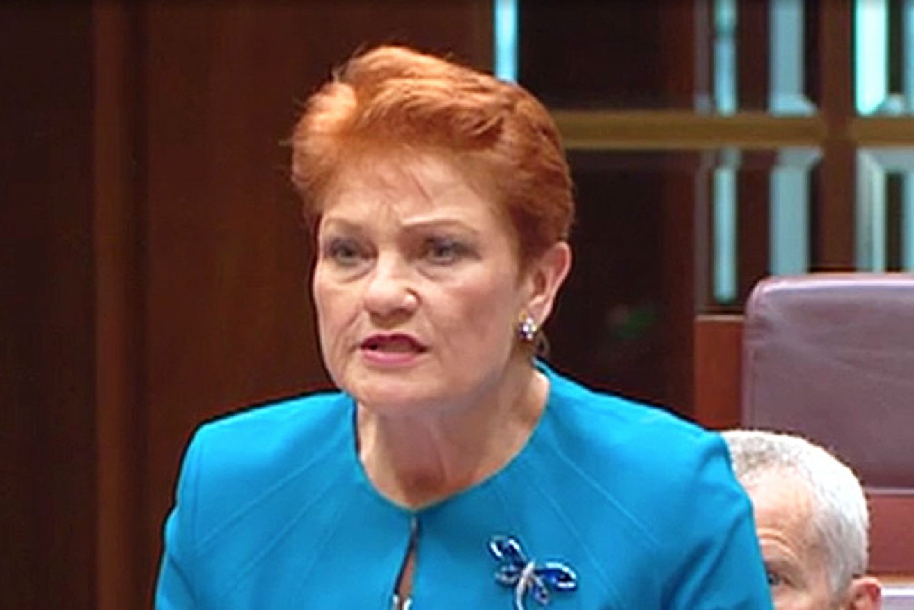 Senator Pauline Hanson in July accused her son's ex of making false sex abuse claims. 