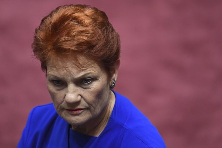 Pauline Hanson can&#8217;t milk support for dairy bill