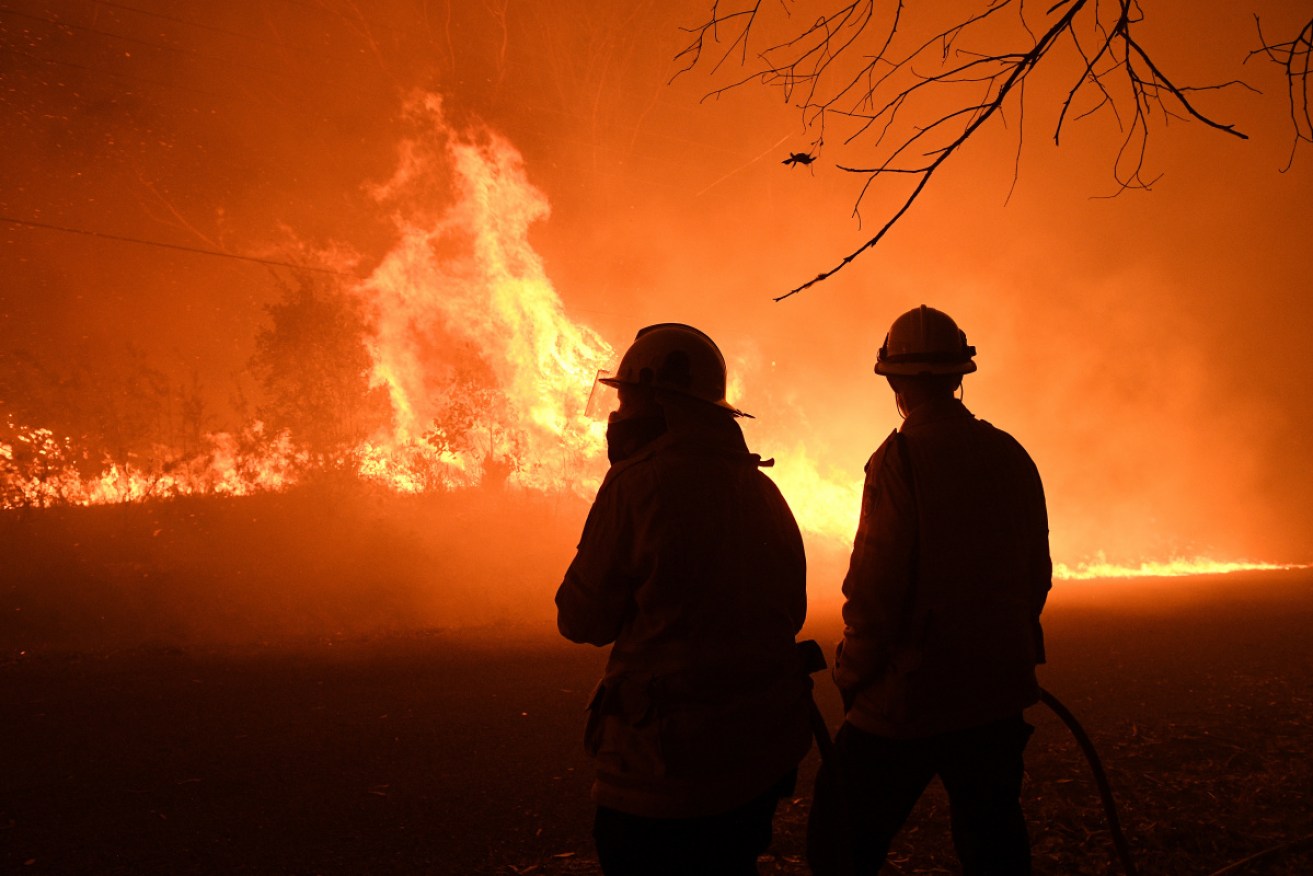 Twelve devastating blazes across the 2019-2020 summer claimed 25 lives.
