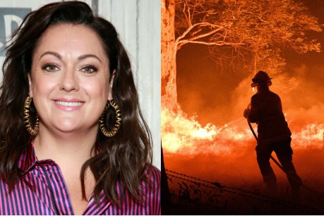 Fate of Celeste Barber’s whopper bushfire fundraiser to be decided