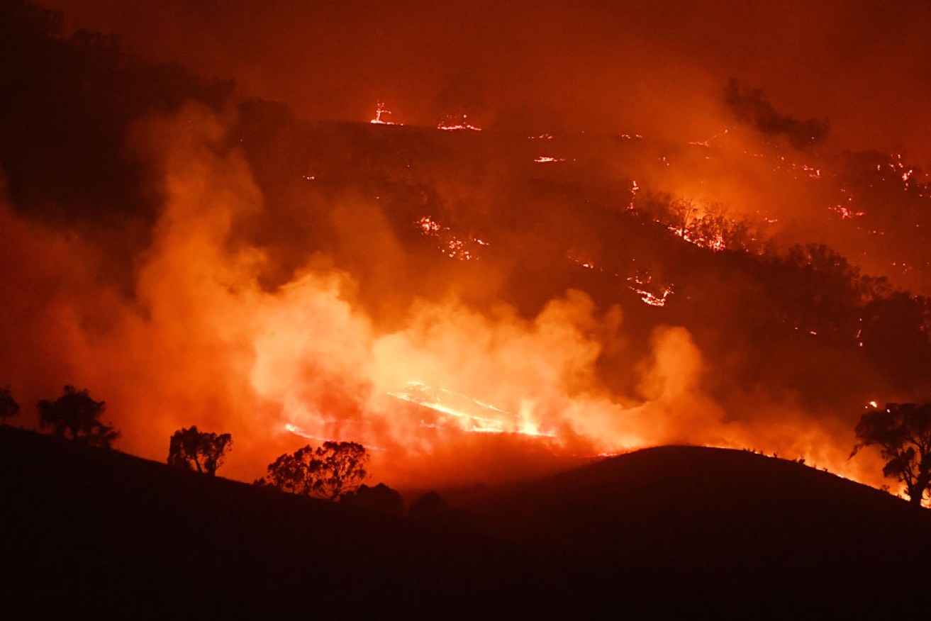 The bushfires have brought local economies to their knees.