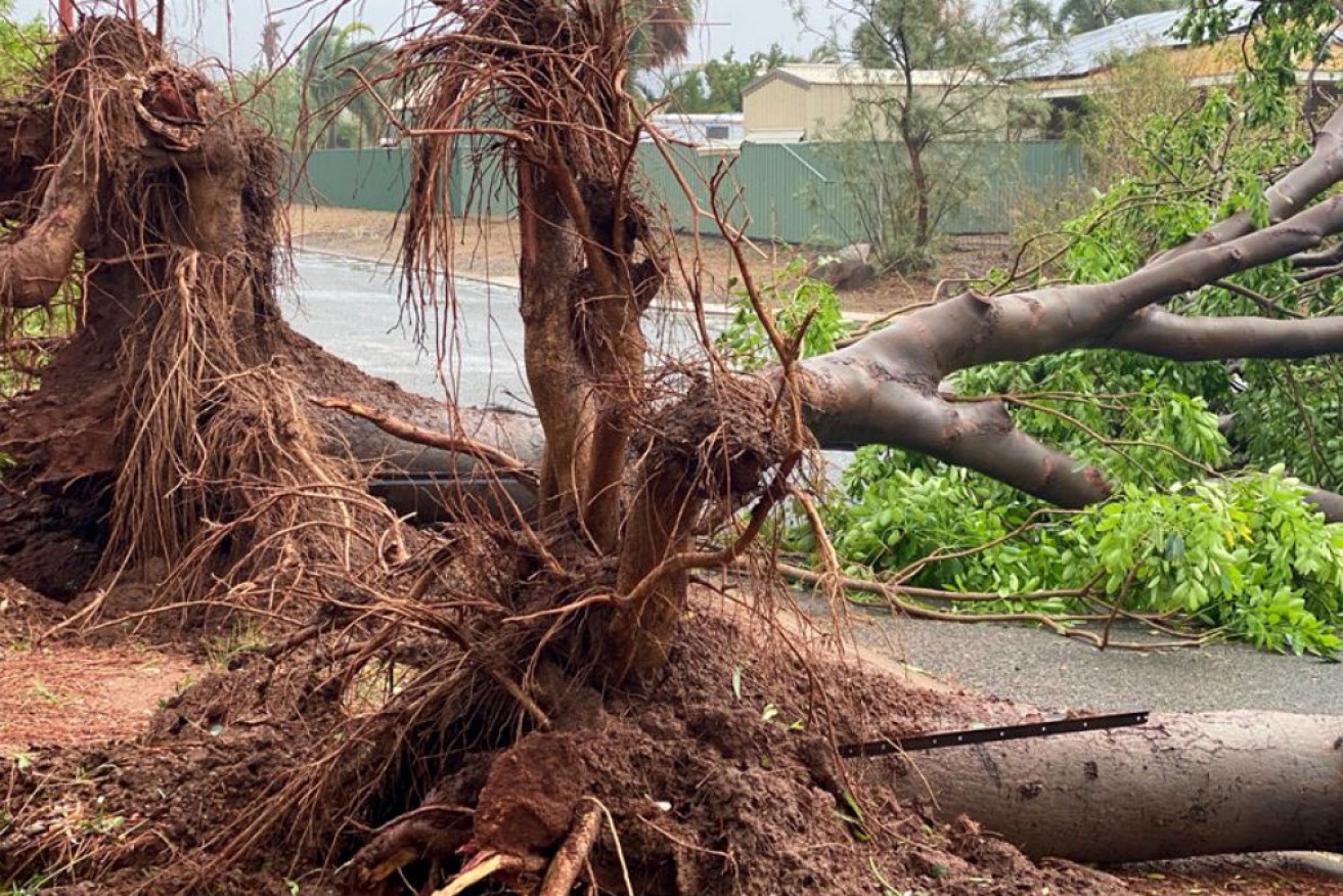 Cyclone Damien caused destruction with winds of more than 200km/hr as it crossed the Pilbara coast. 