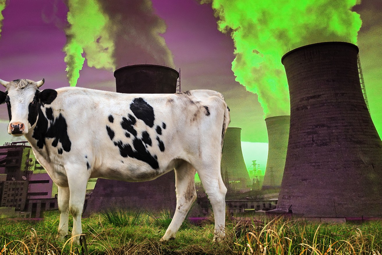 Like fossil fuels, Bovine emissions represent a major threat to our planet's health.