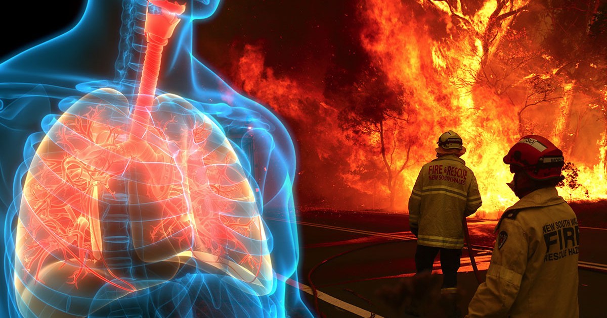 Bushfire season health impacts measured in new report