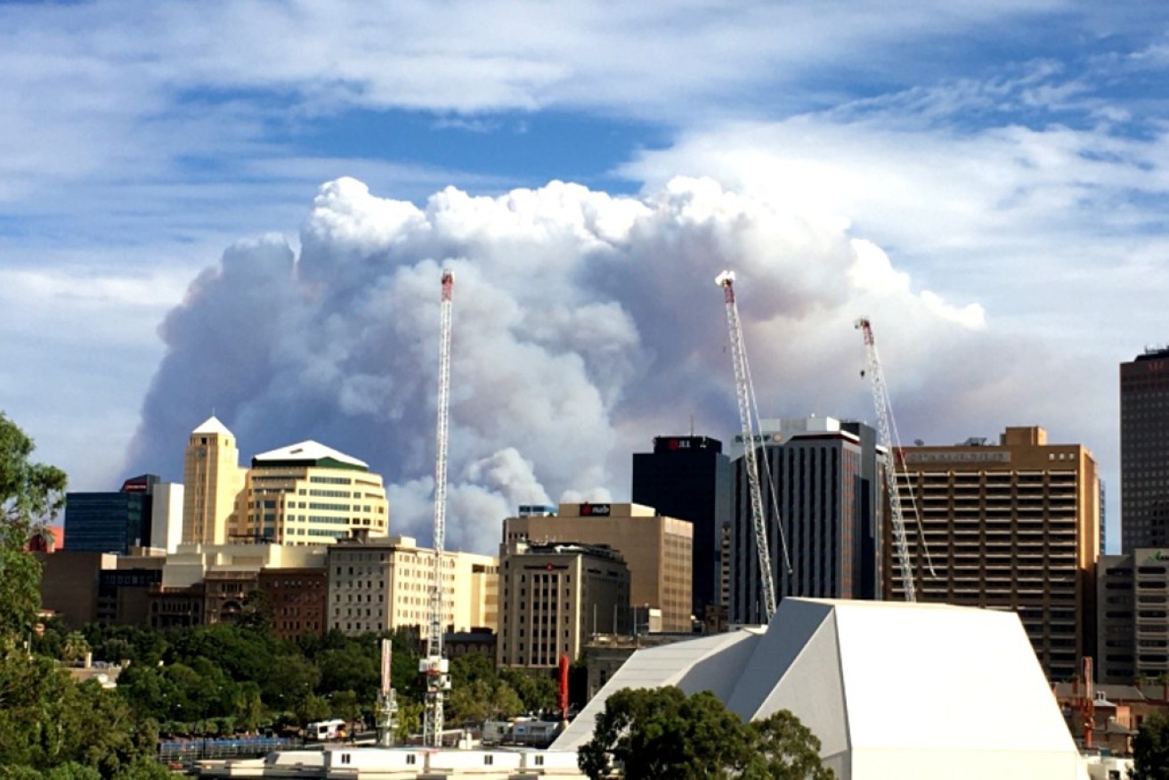After fleeing quarantine, the NSW man roamed Adelaide for several hours.