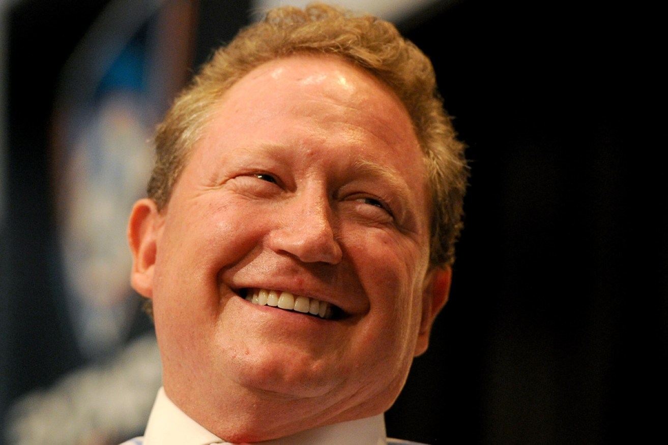 Andrew Forrest's agricultural company has proposed an irrigation project on the river.