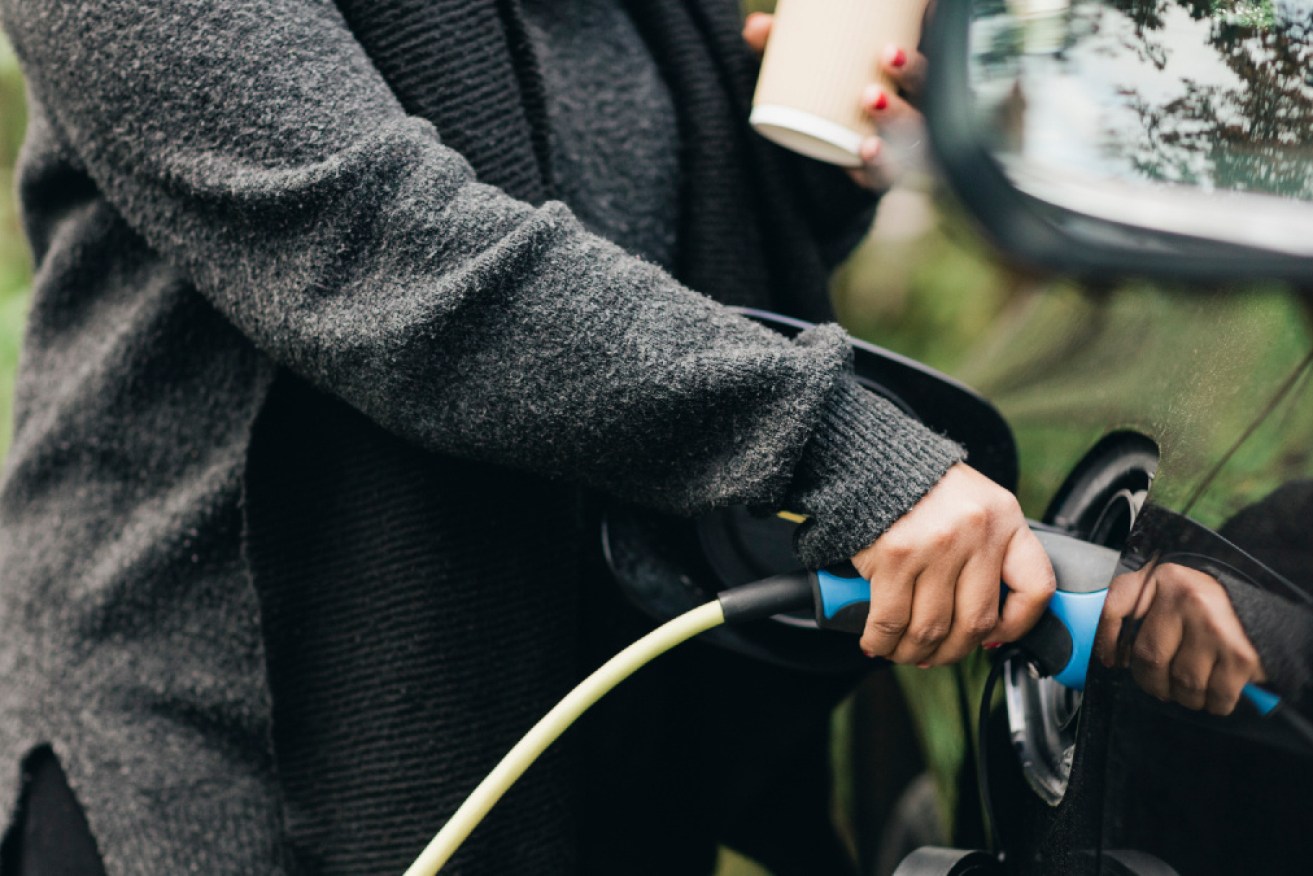 Electric vehicle experts say import laws should be changed to allow more into Australia.