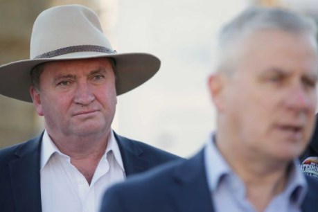 Barnaby Joyce victorious in Nationals leadership challenge