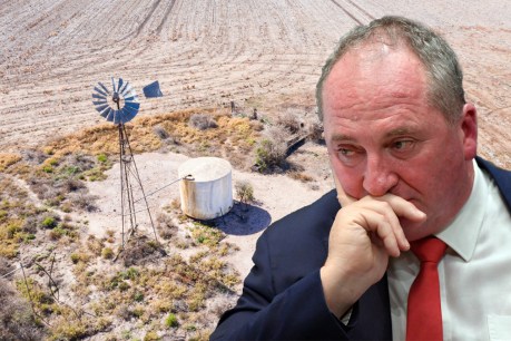 'Bizarre' push to end net zero sets up Coalition clash