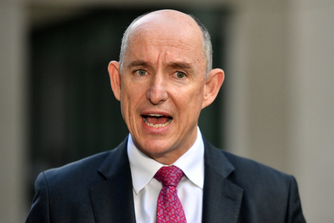 Stuart Robert reportedly wanted to divide the department overseeing robodebt into different agencies