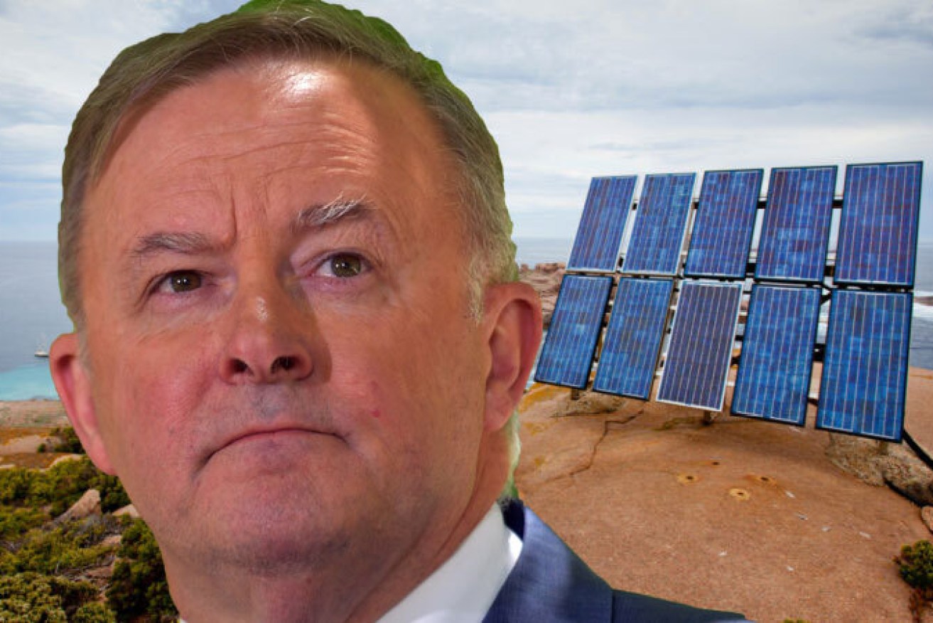 Anthony Albanese has unveiled Labor's climate action plan ahead of next year's federal election.