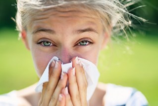 Breakthrough hope for hay fever with 'molecular shield'