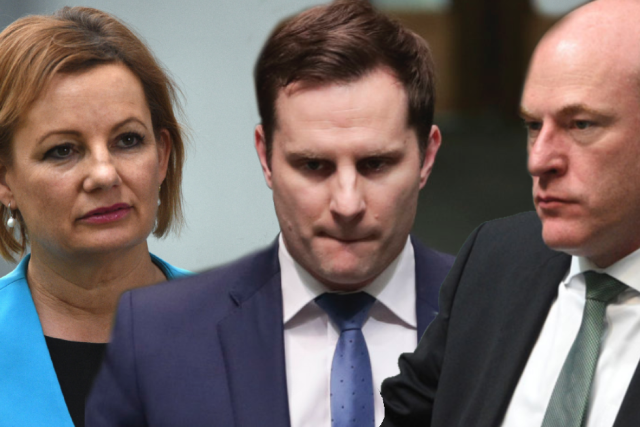 A broader federal intervention would allow key federal MPs including Sussan Ley, Alex Hawke and Trent Zimmerman to be preselected.