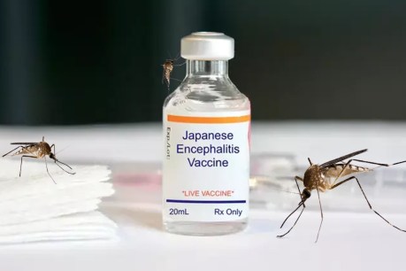 Japanese encephalitis’ peril is real but rarely fatal