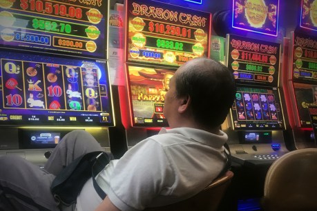 NSW urged to step up gambling reforms
