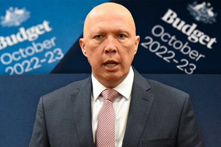 Dutton warns on energy, but no new policies