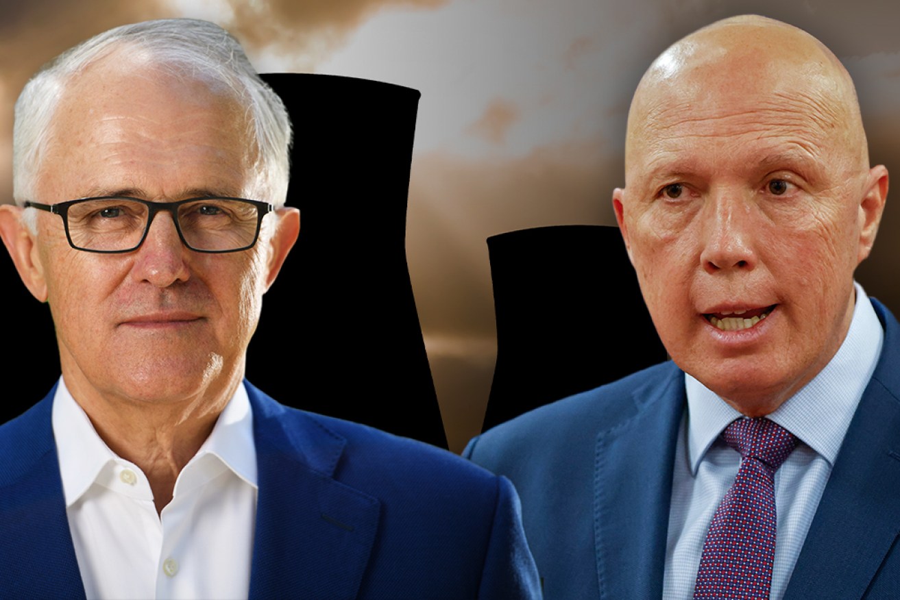 Mr Turnbull has delivered a full-frontal attack on his former colleague’s leadership.
