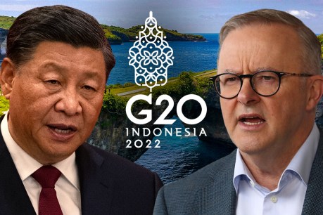 Anthony Albanese to hold ‘really important’ G20 meeting with Xi Jinping