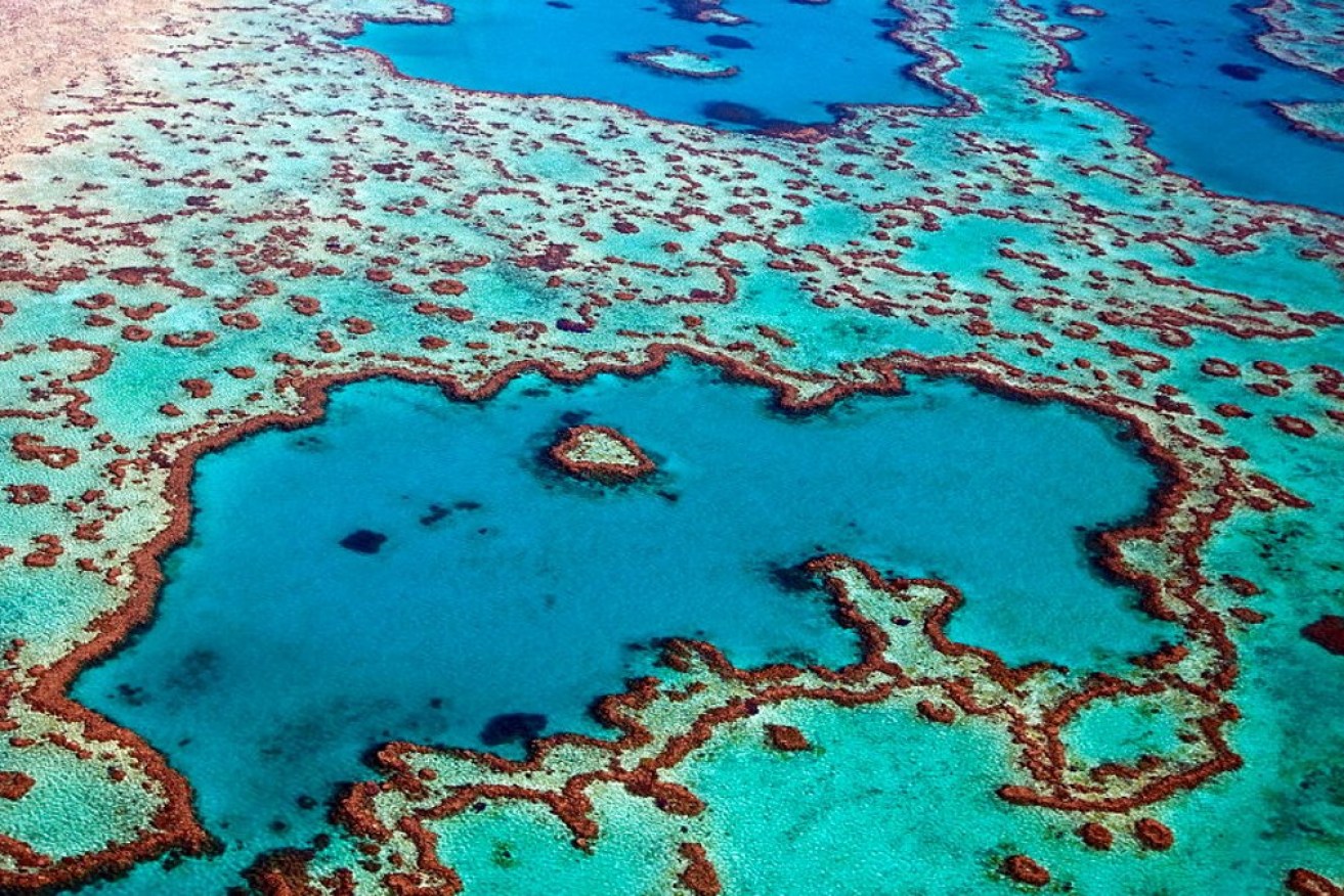 The World Heritage Committee has confirmed it won't yet list the Great Barrier Reef as in-danger but Australia's guardianship remains under close scrutiny.