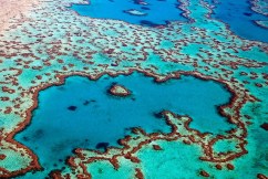 Australia granted time to address reef threats