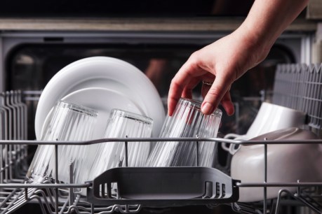 Aldi top scores in Choice dishwasher test