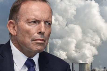‘Lonely voice’: Abbott joins climate sceptic think tank