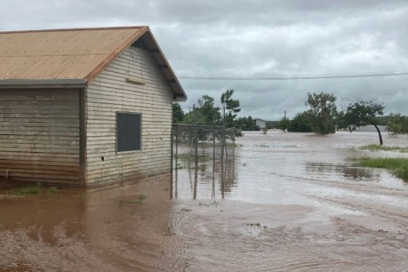 Hundreds airlifted as flooding hits remote NT
