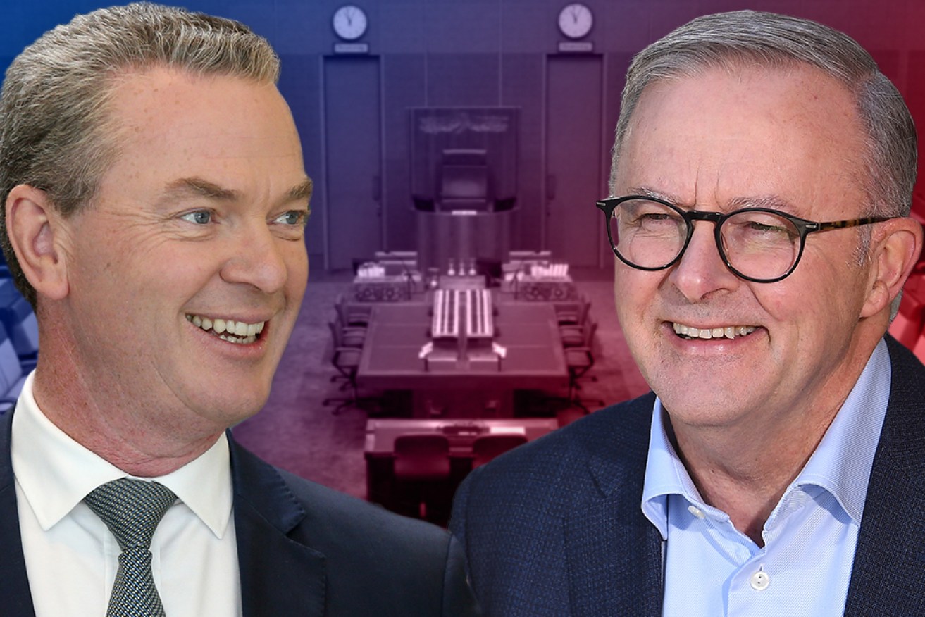 Christopher Pyne and Anthony Albanese are unlikely friends after spending decades in Parliament, on opposite sides.