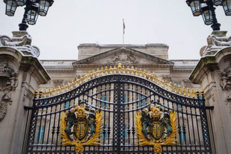 Buckingham Palace in lockdown as man arrested