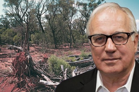 Alan Kohler: Labor fiddles while Australia burns