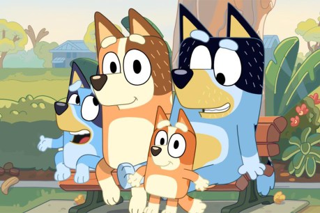 Fans discuss online whether Bluey has ADHD