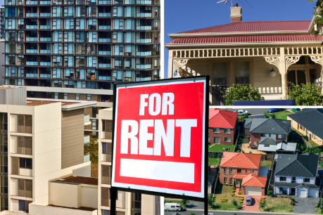 ‘Significant’ number of rentals fail standards