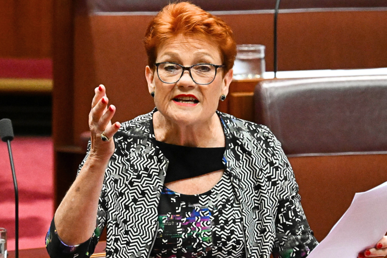 Pauline Hanson made several false and misleading claims about 15 minute cities in the senate last week.