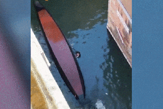 Trending topics: Tourists plunge into Venice and a teacher’s plea goes viral
