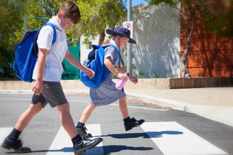 &#8216;Kids deserve better&#8217;: NSW school budgets slashed