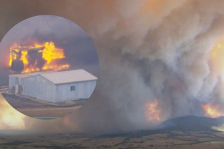 Homes lost as 30 Vic communities flee blaze