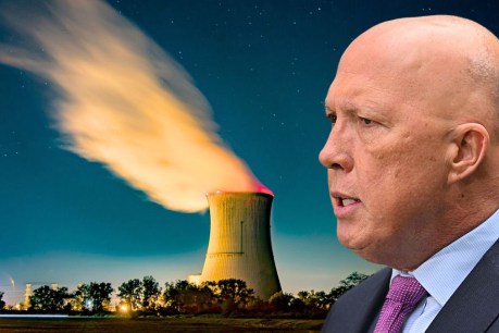 Paul Bongiorno: Climate action denial is behind Coalition’s big target nuclear push