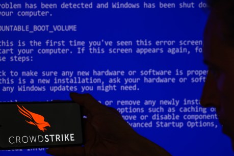 CrowdStrike CEO called to US Congress over outage